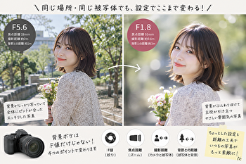 一眼レフで背景がボケない？F値だけじゃない！初心者でも変わる4つの設定と撮り方